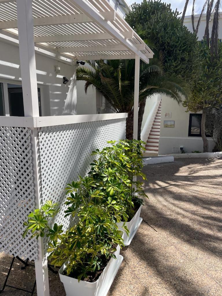 Apartament Punta Elena Corralejo