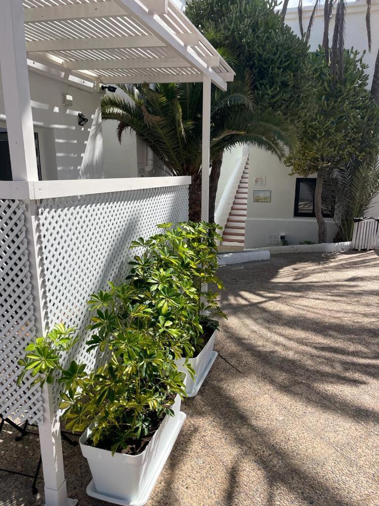 Apartment Punta Elena